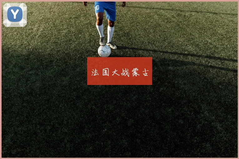 法国大战蒙古