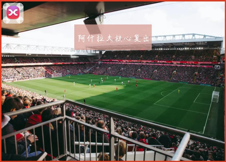 阿什拉夫核心复出