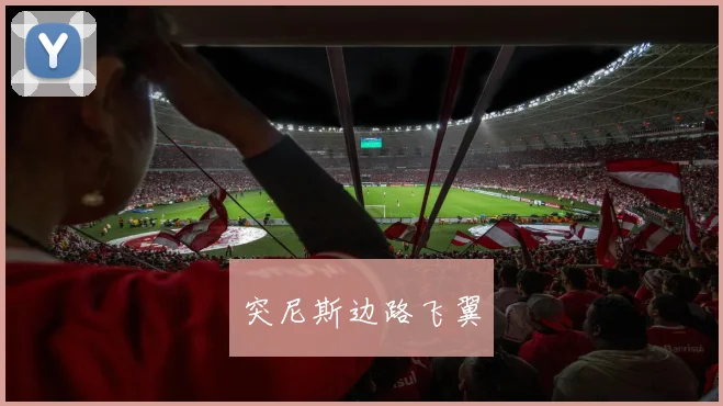 突尼斯边路飞翼