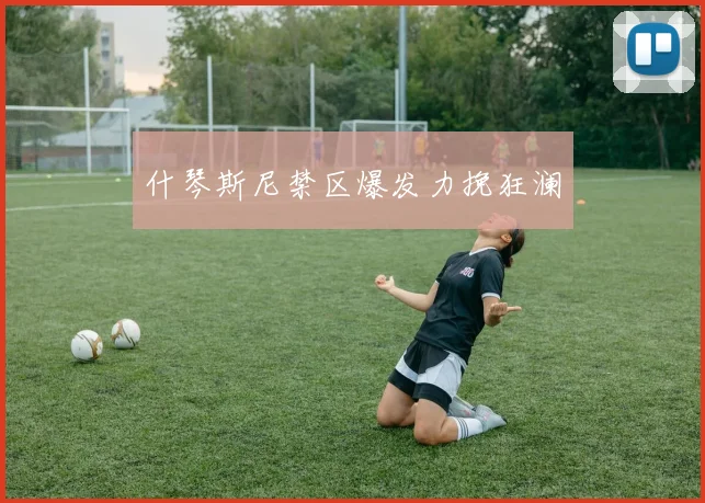 什琴斯尼禁区爆发力挽狂澜