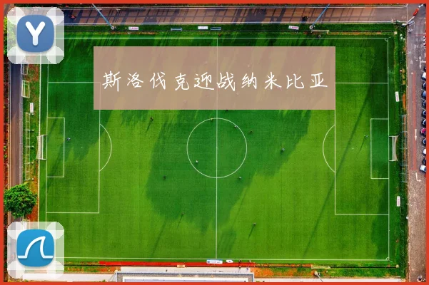 斯洛伐克迎战纳米比亚