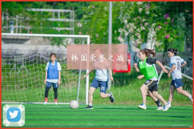 韩国荣誉之战