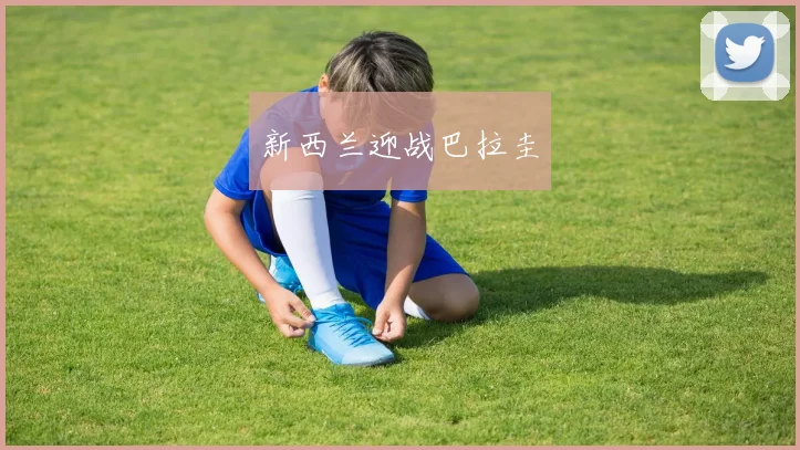 新西兰迎战巴拉圭
