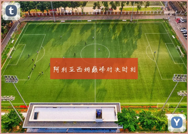 阿利亚西姆巅峰对决时刻