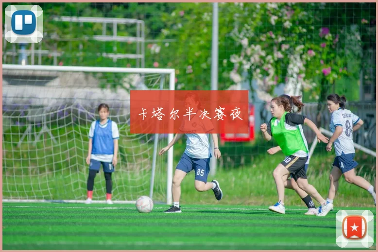 卡塔尔半决赛夜