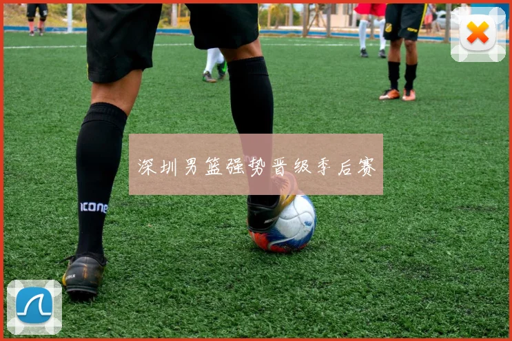 深圳男篮强势晋级季后赛