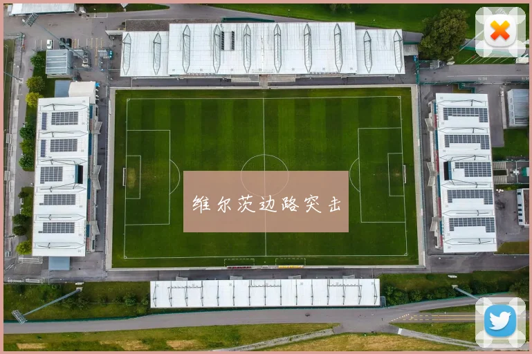 维尔茨边路突击