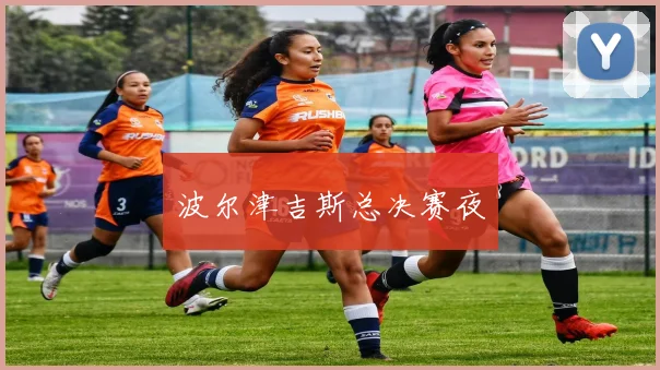 波尔津吉斯总决赛夜