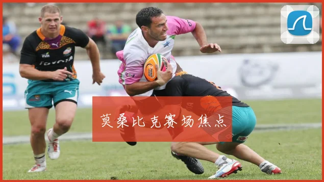 莫桑比克赛场焦点