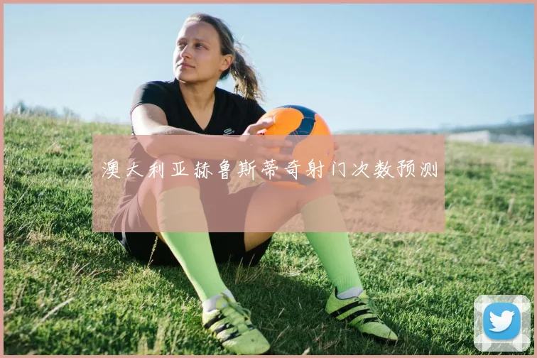 澳大利亚赫鲁斯蒂奇射门次数预测