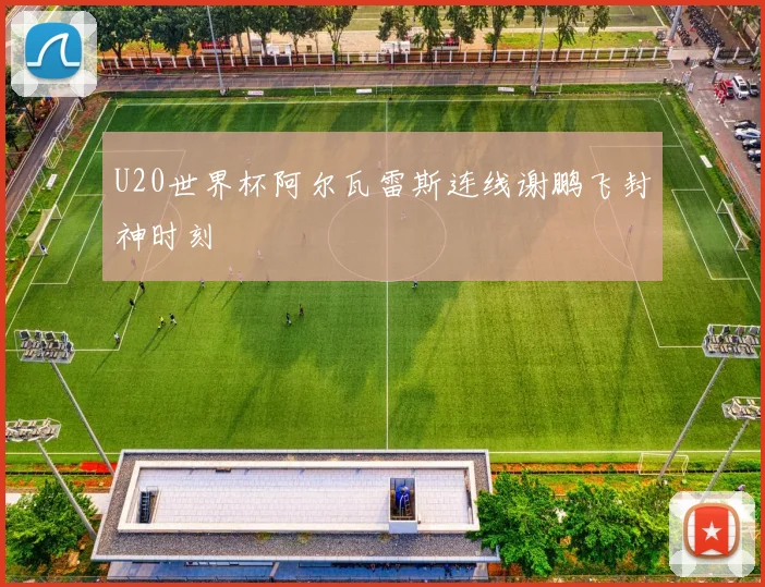 U20世界杯阿尔瓦雷斯连线谢鹏飞封神时刻