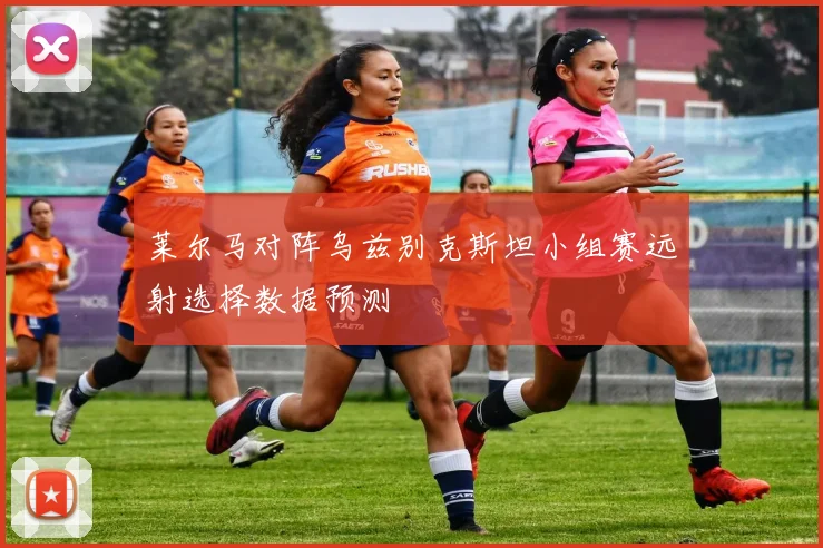 莱尔马对阵乌兹别克斯坦小组赛远射选择数据预测