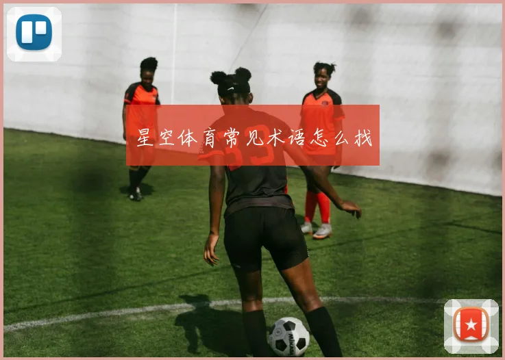 星空体育常见术语怎么找