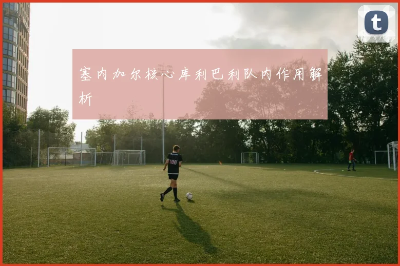塞内加尔核心库利巴利队内作用解析