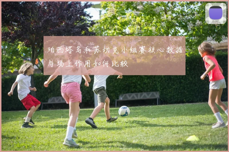 珀西塔乌和苏切克小组赛核心数据与场上作用如何比较
