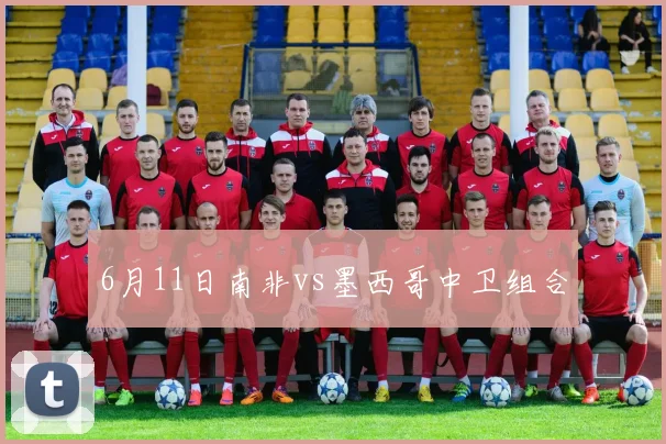 6月11日南非vs墨西哥中卫组合